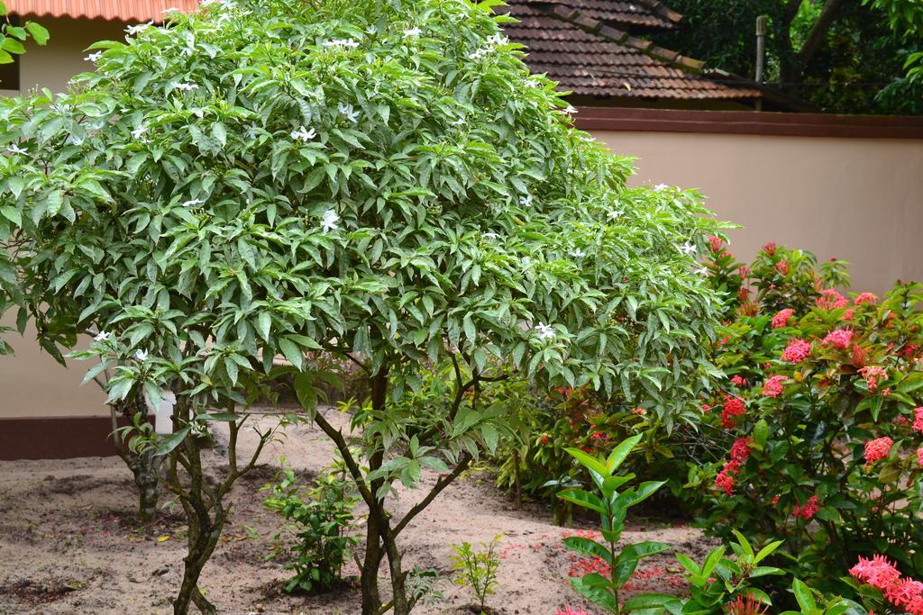 Tharavad Heritage Alappuzha Екстериор снимка